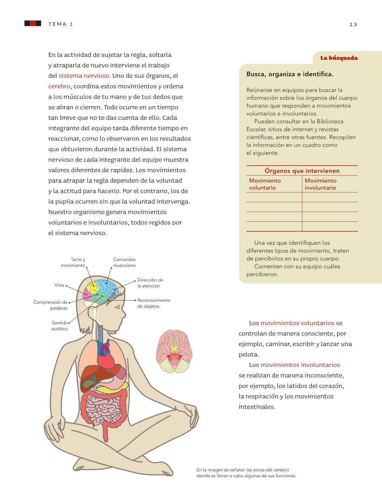 Ciensas Naturales 6 Grados Primaria 2016 | libro 6 grado primaria ciencias naturales 2016 ciencias Ciensas Naturales 6 Grados Primaria 2016 | libro 6 grado primaria ciencias naturales 2016 ciencias