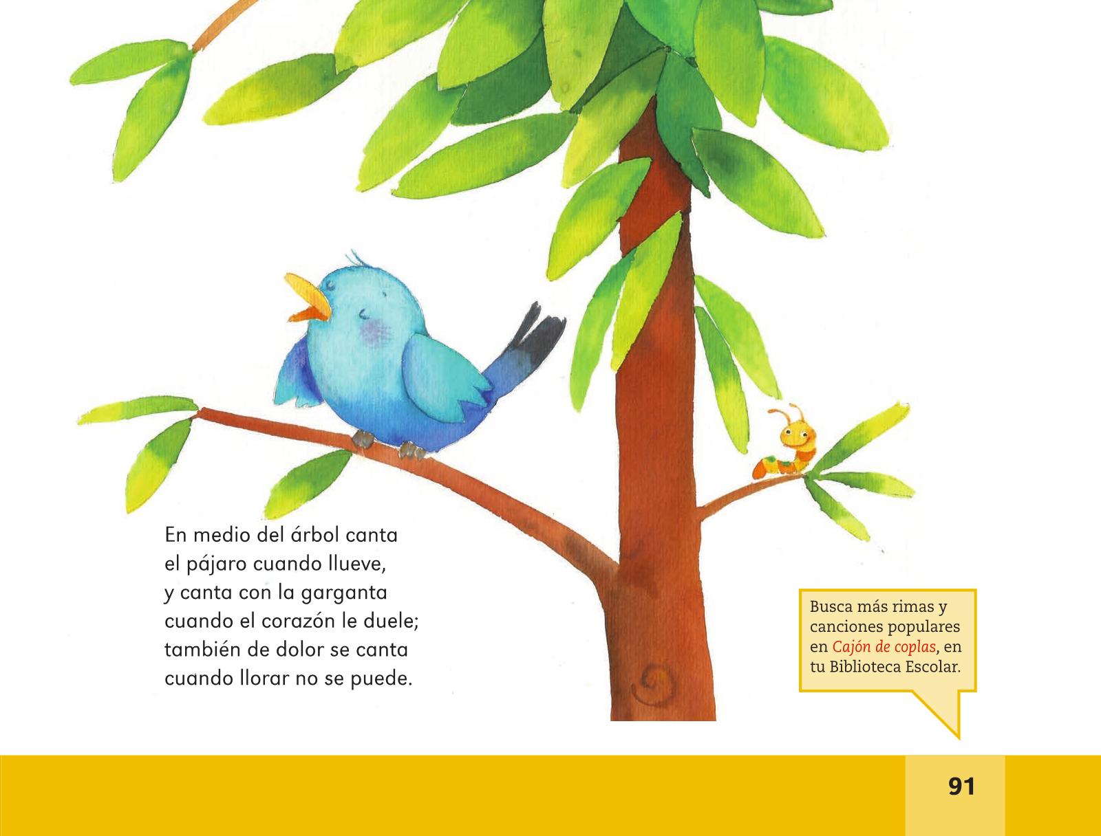 Libros De Lectura Para Niños De Segundo De Primaria